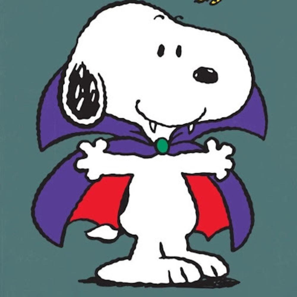 Meet your Posher, Shanna